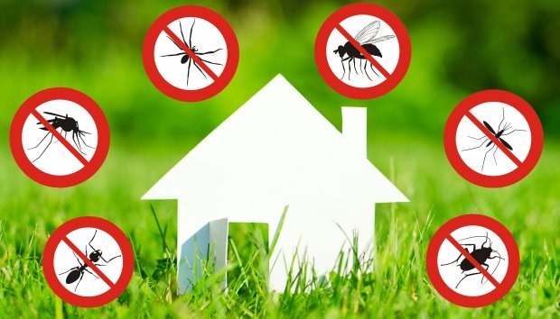 PRIMO INTERVENTO DI DISINFEZIONE-DERATTIZZAZIONE 23 AGOSTO 2021